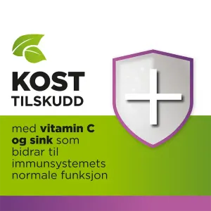 REPSILS URTER HYLLEBÆR OG SOLHATT